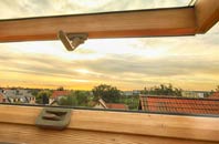 rated Bagillt roof window companies